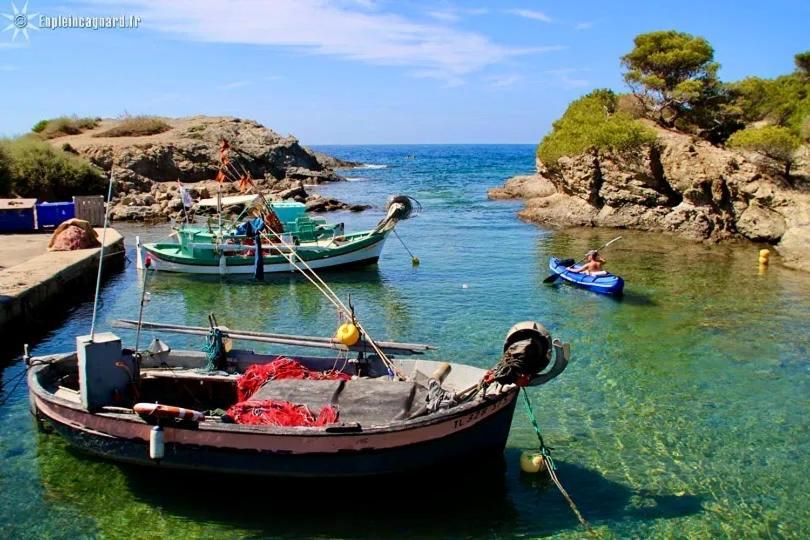 La Fincazur! Proche Plages Six-Fours-les-Plages Buitenkant foto